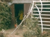 20020810_mini-th-stiefpict0024