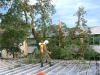 20070622_technischer_einsatz_sturmschaden_001