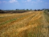 20100703_BE_Modelflugplatz_001