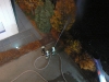 20101105_Begas-Abschluss-Uebung_015