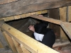 20110527_LangeNachtKirche_007