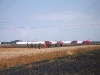 20110708_BE_Sanktandrae_003