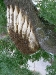20110726_TE_Bienen_HAK_005