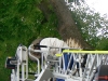 20110726_TE_Bienen_HAK_012