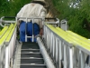 20110726_TE_Bienen_HAK_015