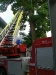 20110726_TE_Bienen_HAK_019