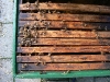 20110726_TE_Bienen_HAK_027