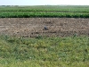 20110926_TE_B51_003