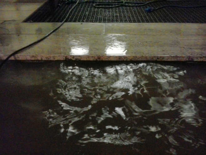 20140730_te_podersdorf_wasser_001